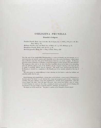 E502 - Various Rich Breiman - 22893