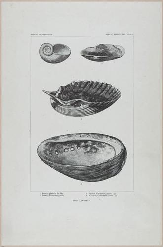 E517 - Bureau of Ethnology - Southwestern US - 1883 - 24338