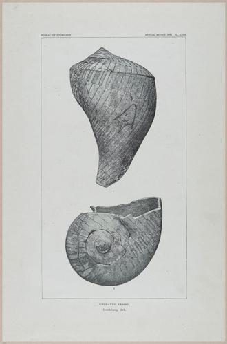 E517 - Bureau of Ethnology - Southwestern US - 1883 - 24340