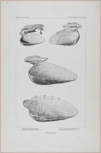 E517 - Bureau of Ethnology - Southwestern US - 1883 - 24341