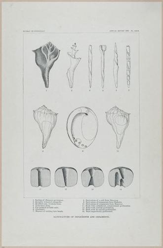 E517 - Bureau of Ethnology - Southwestern US - 1883 - 24346