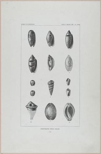 E517 - Bureau of Ethnology - Southwestern US - 1883 - 24349