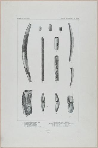 E517 - Bureau of Ethnology - Southwestern US - 1883 - 24352