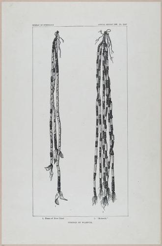 E517 - Bureau of Ethnology - Southwestern US - 1883 - 24361