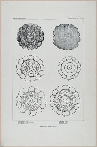 E517 - Bureau of Ethnology - Southwestern US - 1883 - 24373