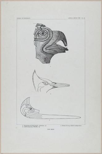 E517 - Bureau of Ethnology - Southwestern US - 1883 - 24377