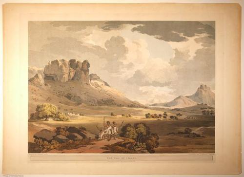 E509 - Henry Salt - i0769
