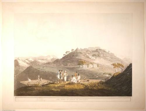 E509 - Henry Salt - i0770