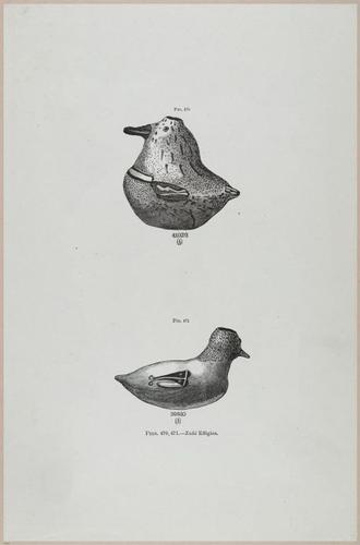 E517 - Bureau of Ethnology - Southwestern US - 1883 - 24431