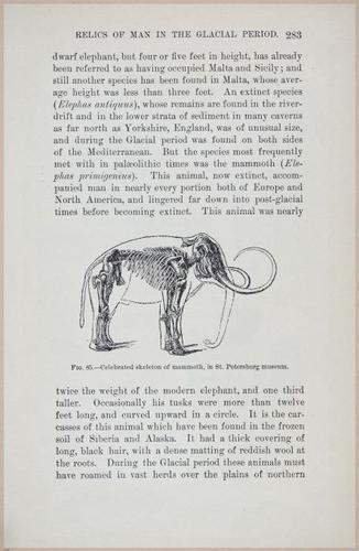E519 - Man and the Glacial Period - 1892 - 24573