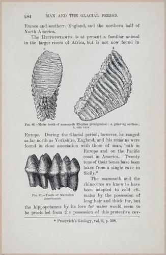 E519 - Man and the Glacial Period - 1892 - 24574