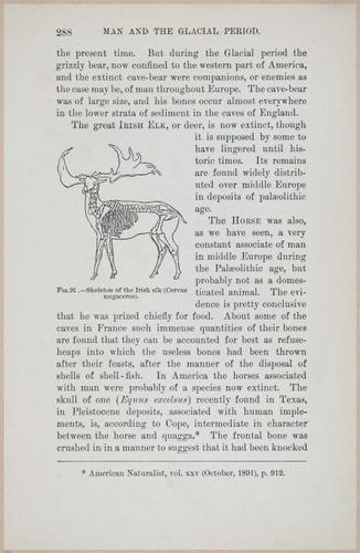 E519 - Man and the Glacial Period - 1892 - 24577
