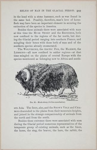 E519 - Man and the Glacial Period - 1892 - 24578