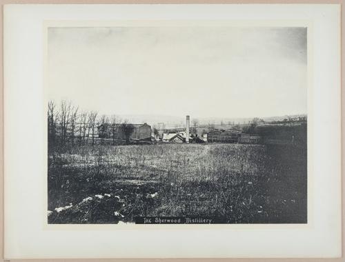 E524 - Baltimore - i25058