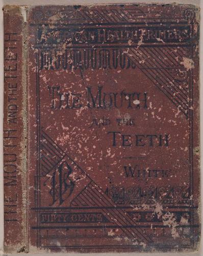 E525 - Teeth - i25222