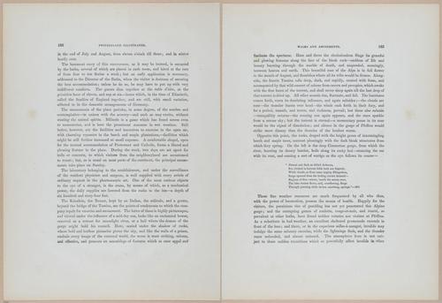 E538 - Switzerland - i25802-25803