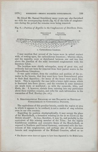E554 - Museum of Practical Geology - 27380