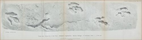 E554 - Museum of Practical Geology - 27382-27383-27384