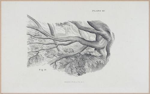 E555 - Lectures by Ruskin - 27322