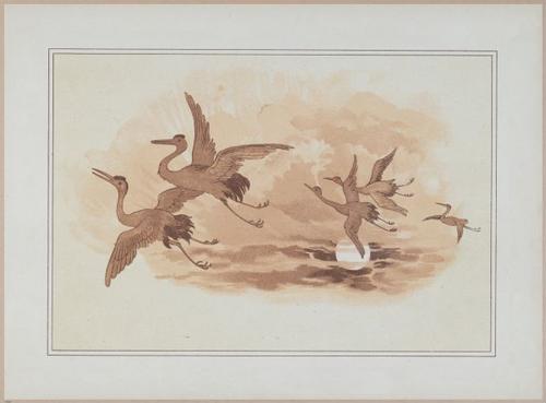 E558 - The White Swans - 1885 - 27562