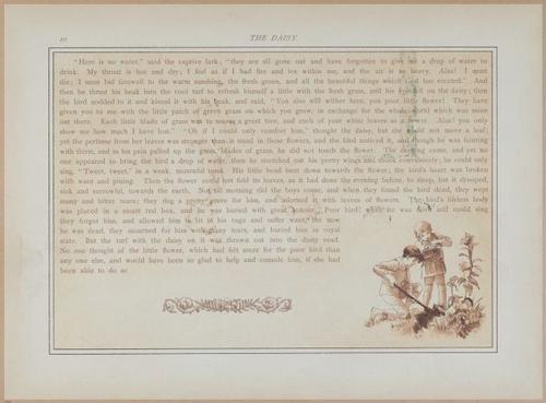 E558 - The White Swans - 1885 - 27571