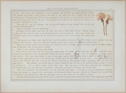 E558 - The White Swans - 1885 - 27582