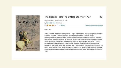 The Rogue's Plot