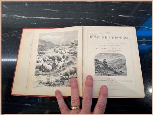 E571 - Our Dumb Neighbors - i3869