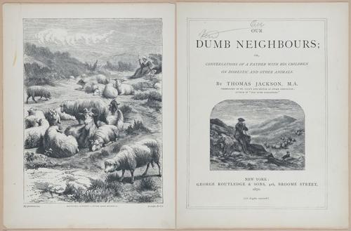 E571 - Our Dumb Neighbors - i28044-28045