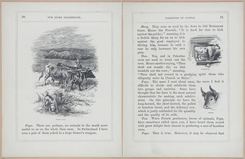 E571 - Our Dumb Neighbors - i28107-28108
