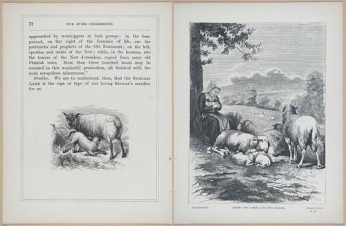 E571 - Our Dumb Neighbors - i28130-28131