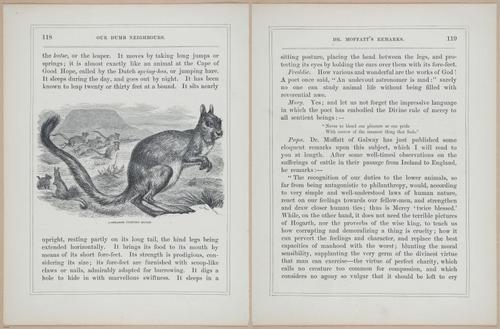 E571 - Our Dumb Neighbors - i28181-28182