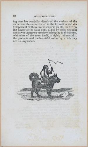 E591 - Discovery and Adventure in the Polar Seas - 29861