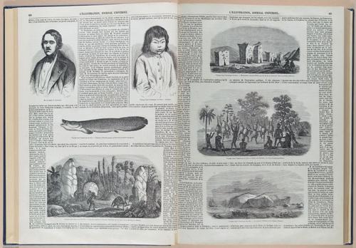E592 - Illustration Journal Universel - i29916-29947