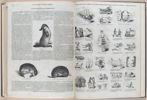 E592 - Illustration Journal Universel - i31615-31734