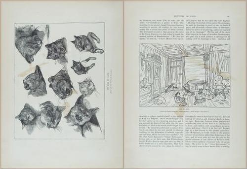 E601 - Magazine of Art - 31851-31852