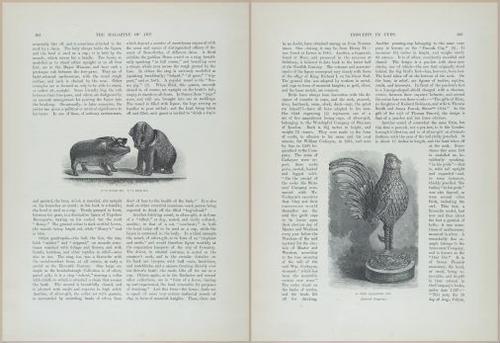 E601 - Magazine of Art - 31861-31862