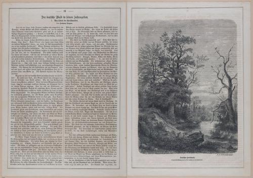 E593 - Daheim - i30078-30079