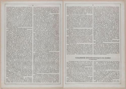 E593 - Daheim - i30558-30559