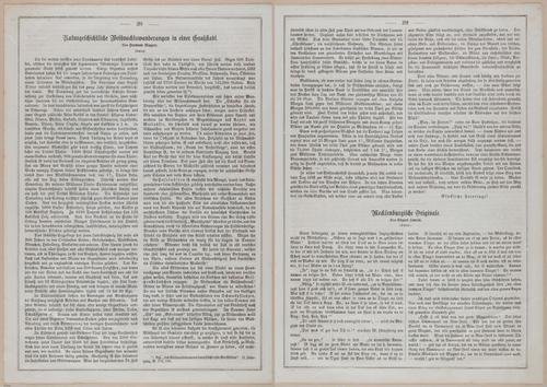 E593 - Daheim - i30591-30592
