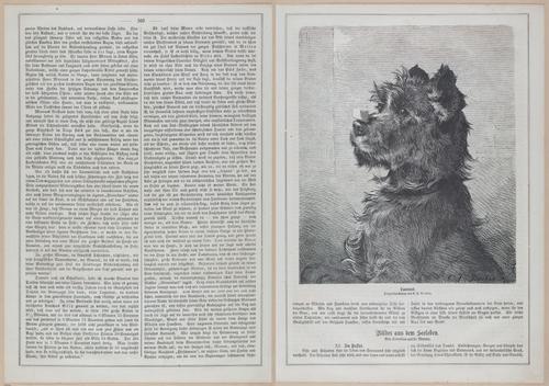 E593 - Daheim - i30970-30971