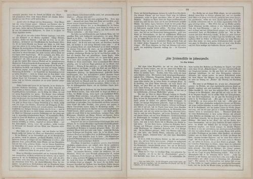 E593 - Daheim - i31030-31031
