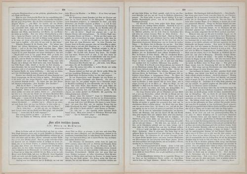 E593 - Daheim - i31130-31131