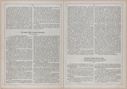 E593 - Daheim - i31332-31333