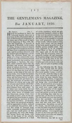 E603 - Gentleman_s - i31979