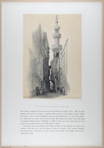 E611 - David Roberts - i32356