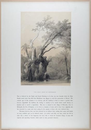 E611 - David Roberts - i32359