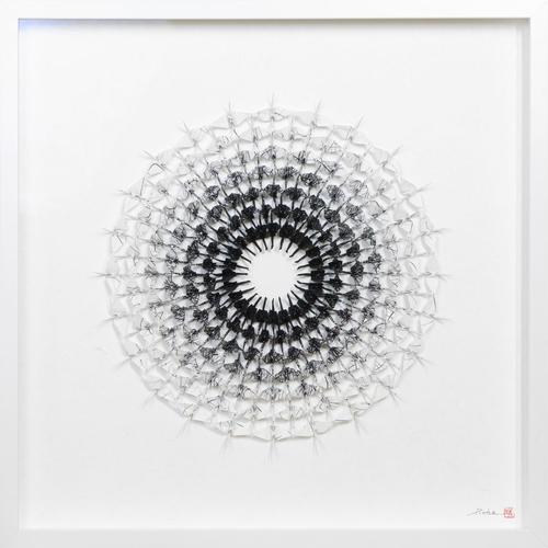 Iris - 20 x 20