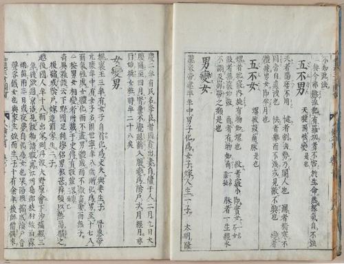 E612 - Japanese Woodblock Prints - i32408