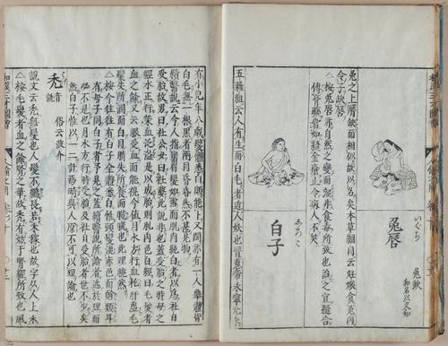E612 - Japanese Woodblock Prints - i32411